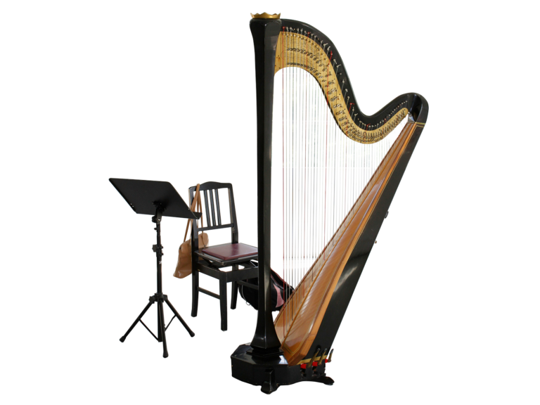 ハープ画像